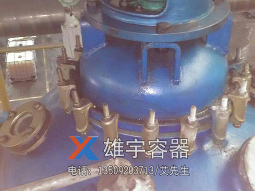 搪瓷搅拌釜